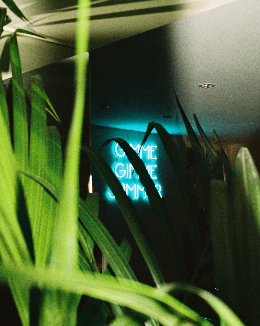 Plan de travail 9.png